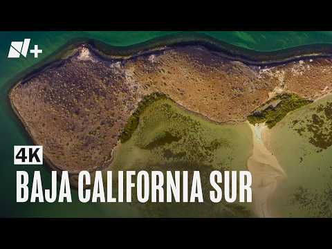 Loreto, Bahía Concepción, Los Cabos y Laguna Ojo de Liebre | 4K | Sonidos del mar