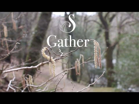 Gather - Suthering