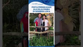 Viral Pernikahan Anak Bos Kebun Binatang di Yogyakarta, Kandang Hewan Disulap Jadi Negeri Dongeng
