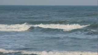 BALEIAS.MÃE&FILHOTE.PRAIA DA FERRUGEM-SANTA CATARINA-BRASIL.11-08-12.By NEUSACALEGARI!