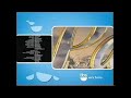 The Heartbreak Kid 2007 End Credits TBS 2010