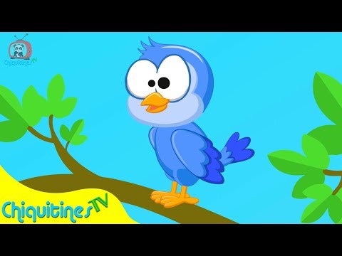 Pajarito que Cantas - Canción Infantil
