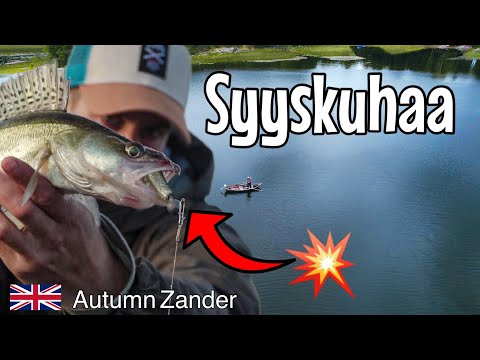 Autumns first Zander jigging trip in Finland