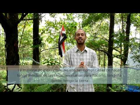 Indigogo Oropendola Fields.wmv