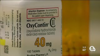 Stopping the stigma: Lorain County mom shares tragic story of sons' deaths on Overdose Awareness Day
