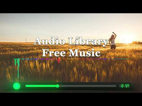 Jonas Schmidt ft. henrikz - Fall Again (Instrumental) (Audio Library - Free Music)