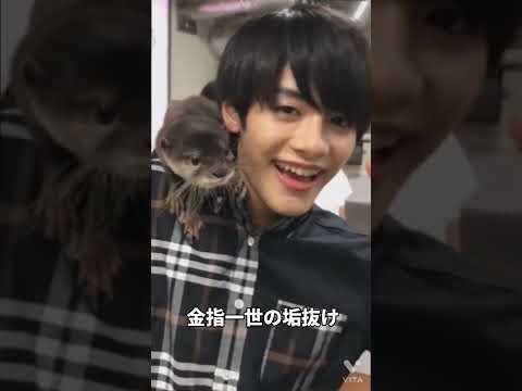 【金指一世】の垢抜け