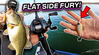 Late Fall to Early Winter Bass Fishing: Crushing It with Flat-Sided Crankbaits!