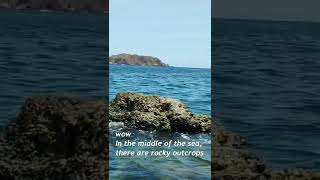 wonderful beach in vietnam | Quy Nhon Vietnam 2022 #shorts