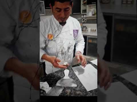 Cjfiligranachocolate#2