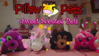 Sweet Scented Pillow Pets
