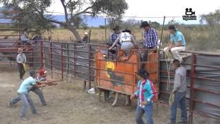 preview picture of video 'LA CORONILLA 2015 Ameca,Jalisco.'