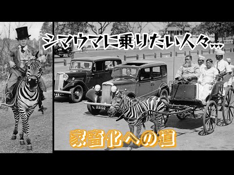 IUCN分類における絶滅の危険性を示す図。