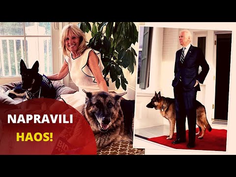 Bajdenov pas izujedao radnika obezbeđenja: Nemački ovčari "proterani" iz Bele kuće!