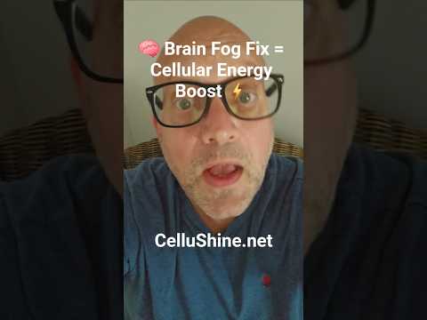 4 Brain Fog Supplements That Recharge Your Mitochondria and Restore Your Focus