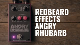 Video thumbnail for Deep Dive: Redbeard Angry Rhubarb Paradynamic Overdrive | Guitar.com by Guitar