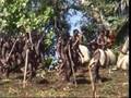 :  Ancient Bungee Jump: Ngol Jump from Pentecost Island.