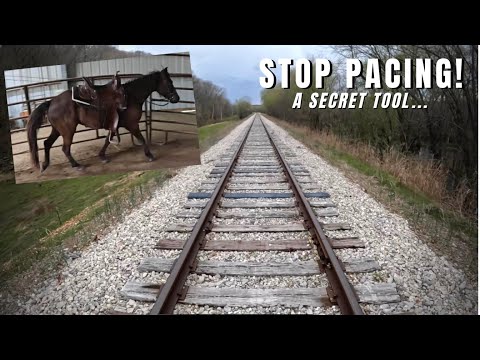 YouTube video about: How to stop a horse pacing in the field?
