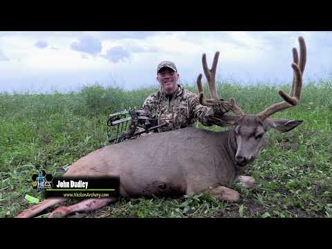 Spot and Stalk Archery Mule deer from the 2019 season