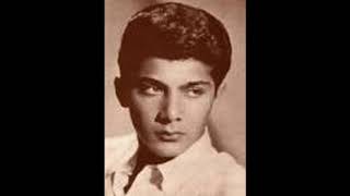 Paul Anka   -  I Can&#39;t Stop Loving You