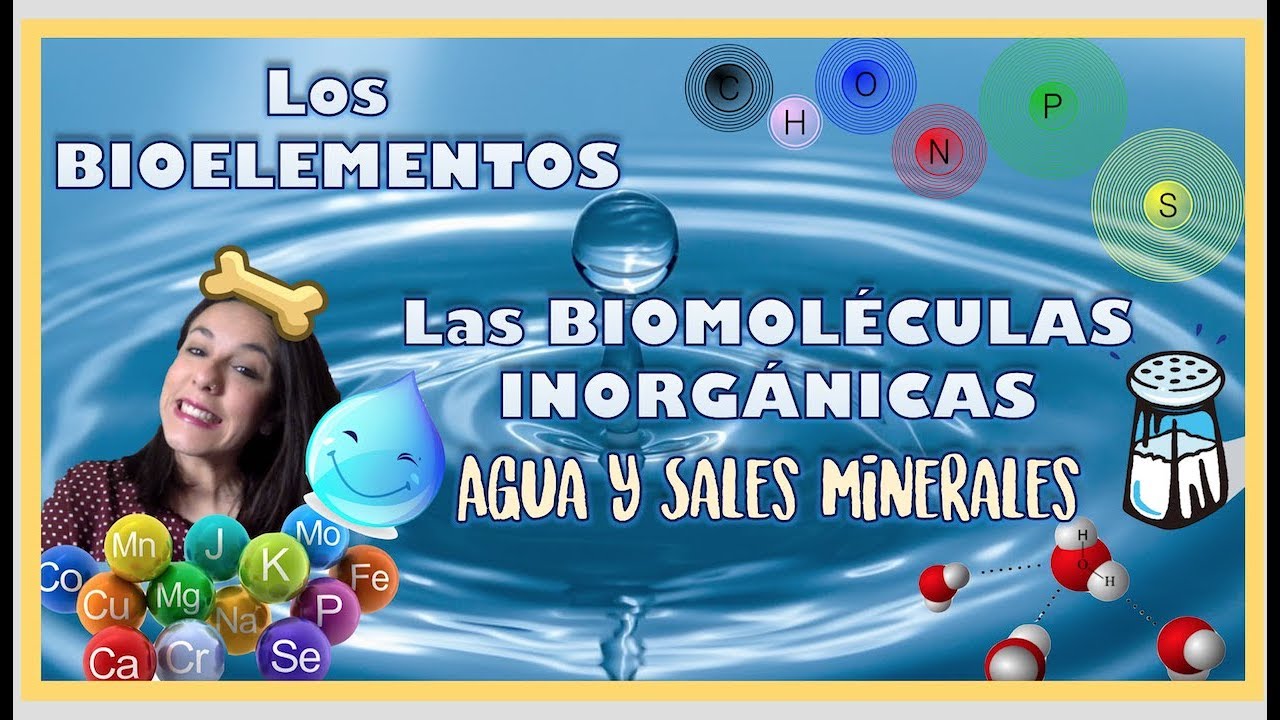 Bioelementos y biomoléculas inorgánicas. 2º de Bachiller - Bio[ESO]sfera