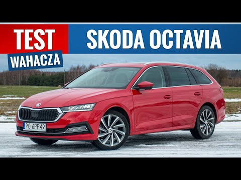 Skoda Octavia 4 2021 - TEST PL Better diesel TDI or petrol TSI with 150 HP?