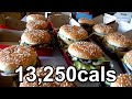 Eating 25 Big Macs in One Sitting (Previous World Record)