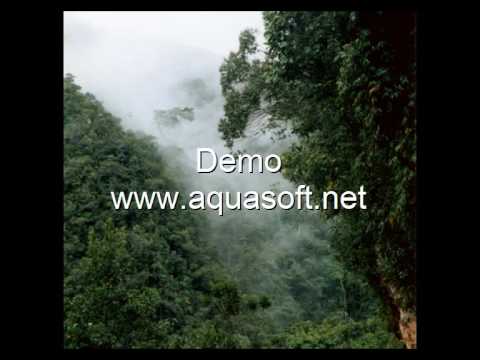 BeySach Kromom , Sin  Sisamout