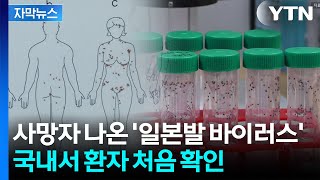 [자막뉴스] 치료제·백신도 없다...국내 자체 발병은 처음 / YTN