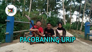 Download lagu PACOBANING URIP - NDARU BRENG || Cover akustik by AFGC official mp3