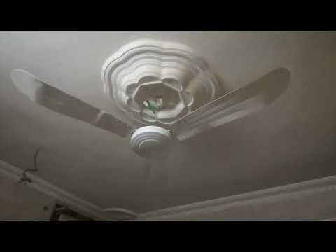 Broken TMT 48" Ceiling Fan