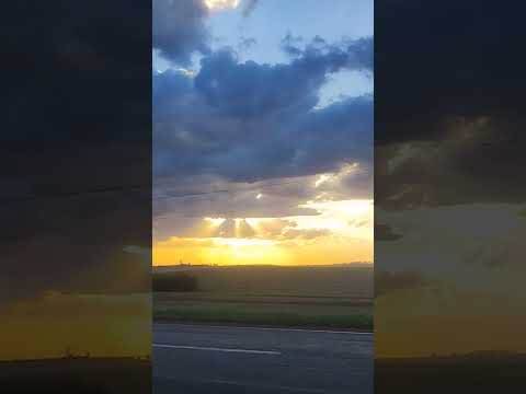 pôr do sol floresta Paraná Brasil 🇧🇷