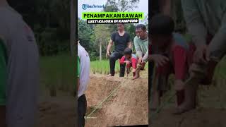 Penampakan Aset Berharga Lesti Kejora di Kampung Halaman, Punya Sawah Luas Berhektar-hektar