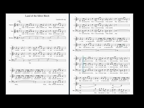 Land of the silver birch B