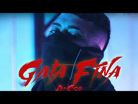 GATA FINA - D-Ceo x ProdThiof (Oficial Video)(BruscoFilms)