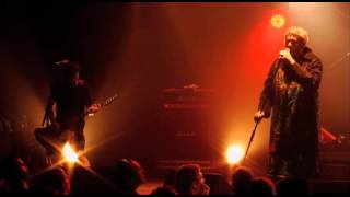 Bucket - ALICE DONUT