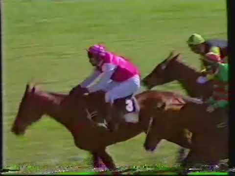 1989 Sandeman Aintree Hurdle - Liverpool 08-04-1989
