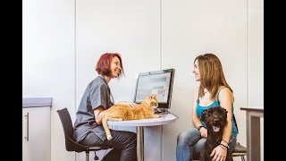 Videos zu Digitail