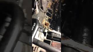 Chevy 4.3L Lower Intake Manifold Gasket Leak