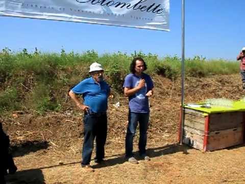 comment traiter oidium courgette