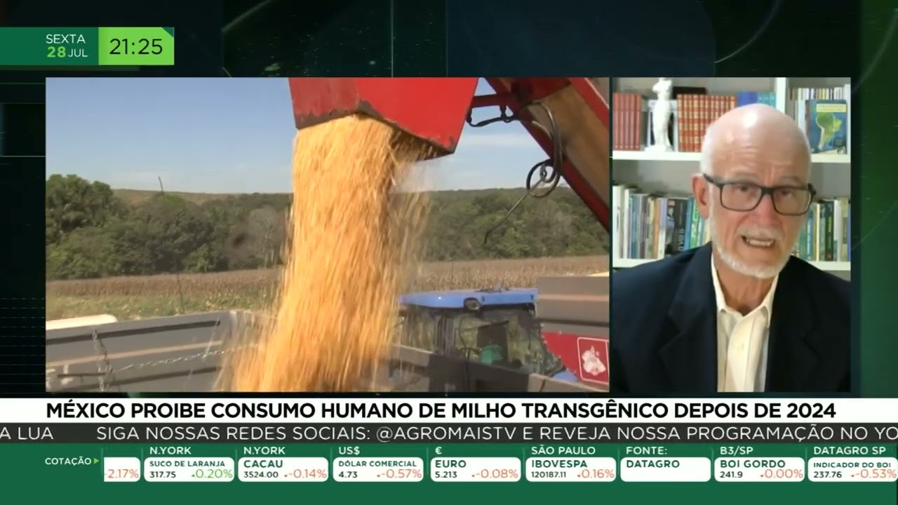 Benedito: México proíbe consumo humano de milho transgênico depois de 2024