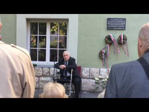 1956, Pécs, a fegyverletétel - Rozsos István