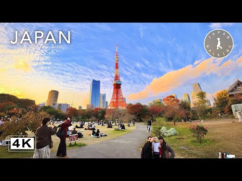Tokyo Tower Autumn City Walk through Shiba Park and Zojoji | Japan Walking Tour【4K | 60fps】