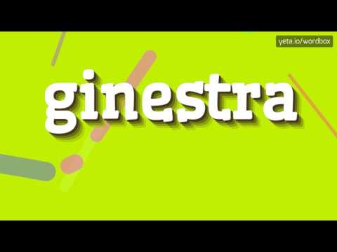 GINESTRA - HOW TO PRONOUNCE IT!?