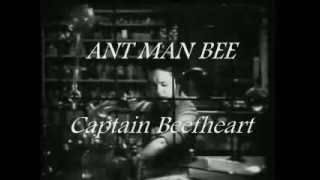 CAPTAIN BEEFHEART -- ANT MAN BEE