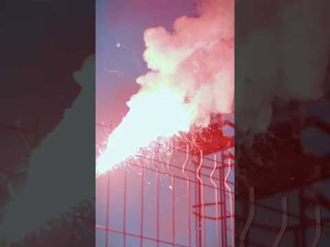 НАШЕ ЛЕТО #балтика #футбол #калининград #football #фнл #перваялига #фанаты #болельщики #лето