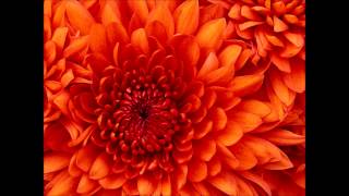 Another Love Has Ended