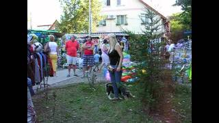 preview picture of video 'Pui de Husky si Pitbull jucindu-se in Baile Felix, 17 septembrie 2011'