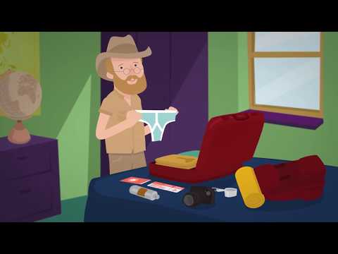 Reiseerkrankungen - Ein Überblick