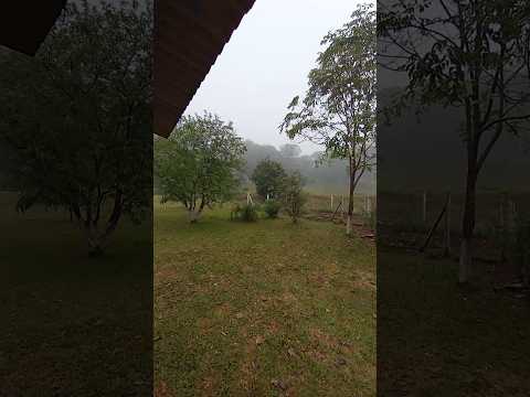 e o sábado está de jeito por aqui,no interior de redentora rio grande do sul